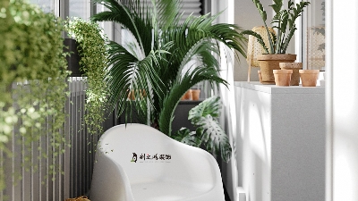 新家去除甲醛，5個(gè)簡(jiǎn)易妙招助你輕松應(yīng)對(duì)！